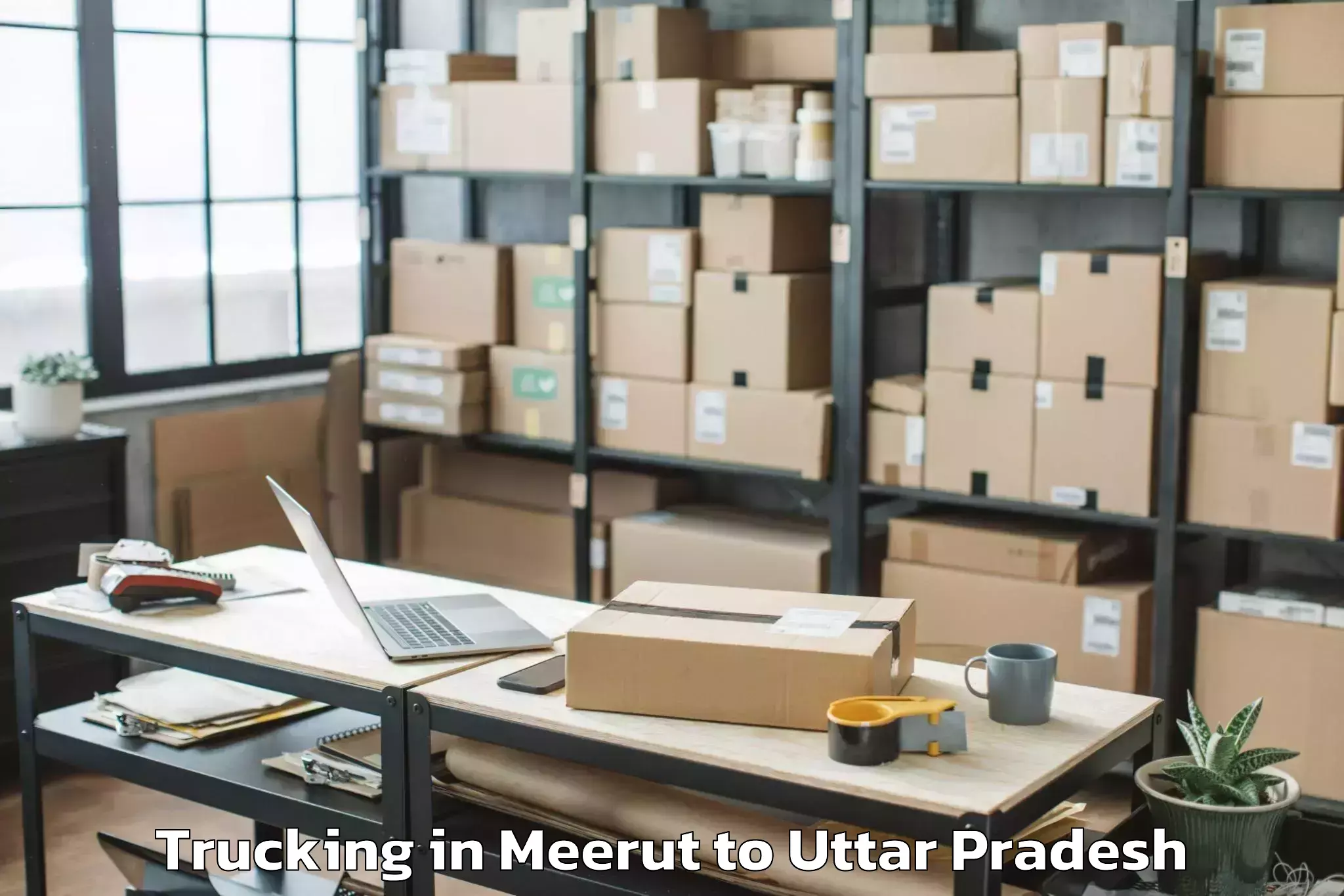 Top Meerut to Tilhar Trucking Available